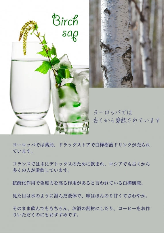 「TBSラヴィットで紹介されました」【送料込】飲む白樺樹液　カラダの中からキレイになろう　美容・健康に！白樺樹液100％ドリンク30本セット