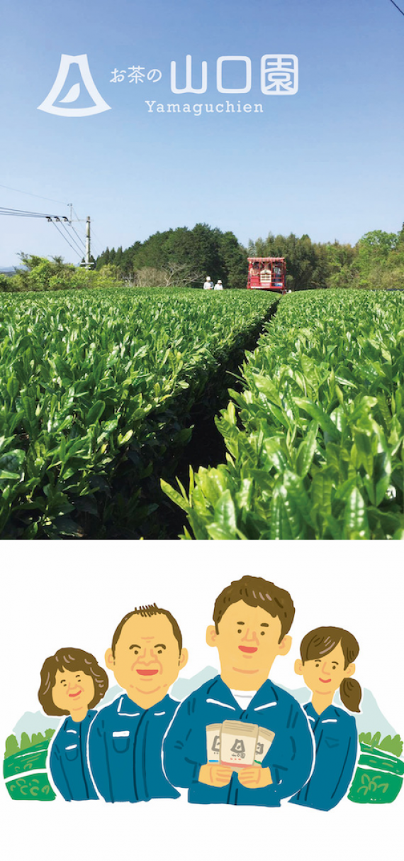 2024新茶【有機】冴緑（さえみどり）2本セット