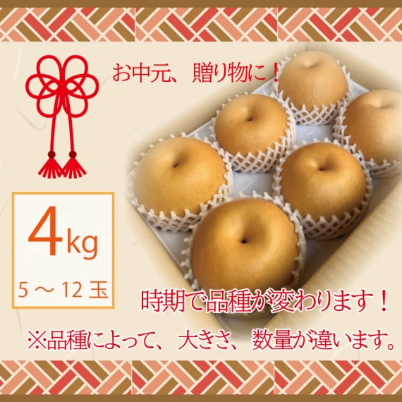 【予約販売開始！】上品な甘みでジューシー♪熊本県産　吉野梨4㎏