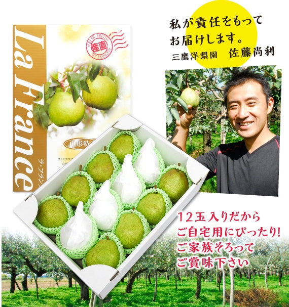 有袋栽培ラ・フランス　Lサイズ5kg（20玉）★発送は10月下旬から★