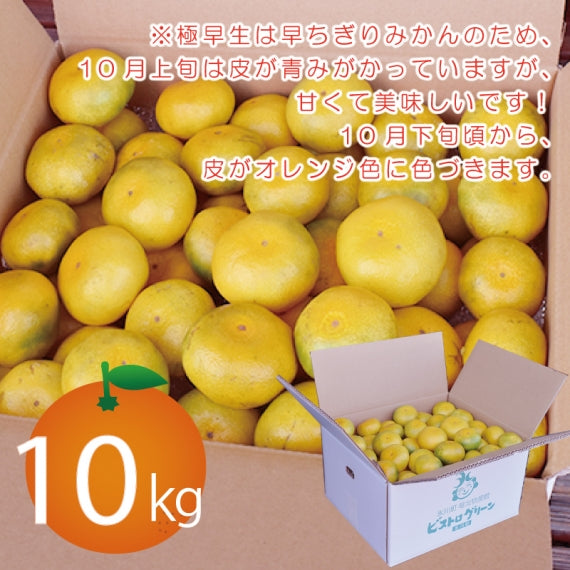 熊本県　産地直送！甘くて程よい酸味の『極早生みかん』　10㎏＝今シーズンの販売は終了＝