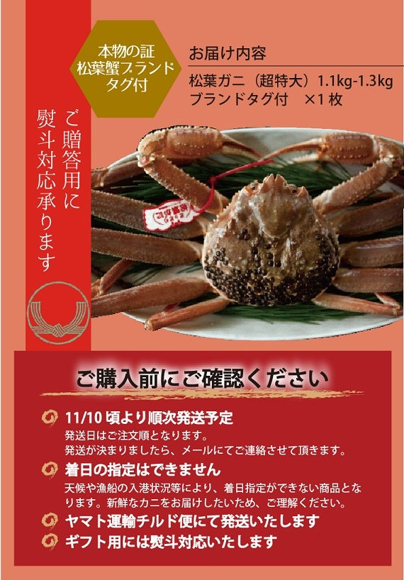 松葉ガニ 超特大サイズ約1.1-1.3kg タグ付【生／茹で】