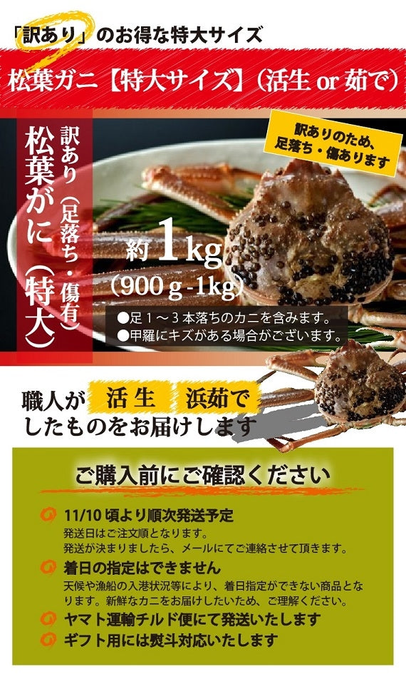 ★訳あり★　お得な松葉ガニ特大サイズ（900g-1㎏）【生／茹で】