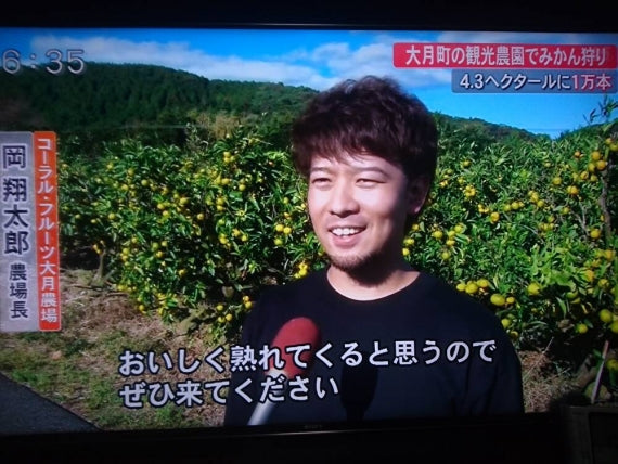 【わけありお徳用】【龍馬感激こつぶちゃん】（5kg箱）小さな体にギュッと美味しさが詰まってます！送料無料(一部地域を除く）【家庭用選別】【フルーツ】