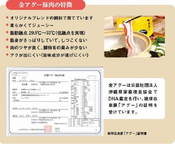 金アグー三種セット（ハンバーグ2個　ソーセージ12本　餃子12個）　あぐー豚肉人気商品【送料無料】
