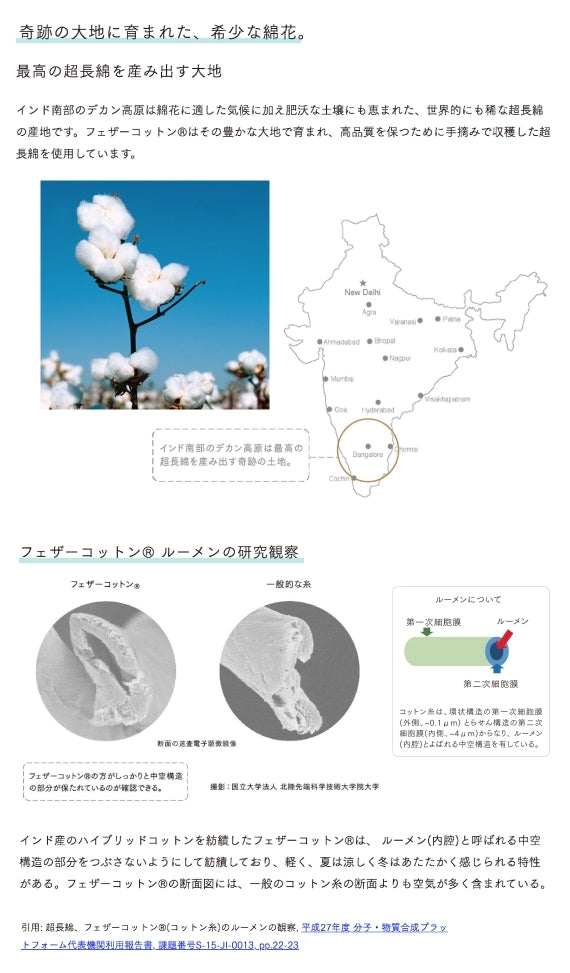 富山もよう×セルダム×吉井タオル【今治タオルブランド認定