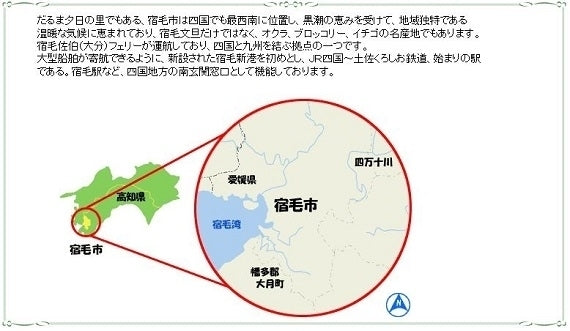 【送料込み】高知県産・吉村さんの宿毛小夏家庭用２kg（Sサイズ）