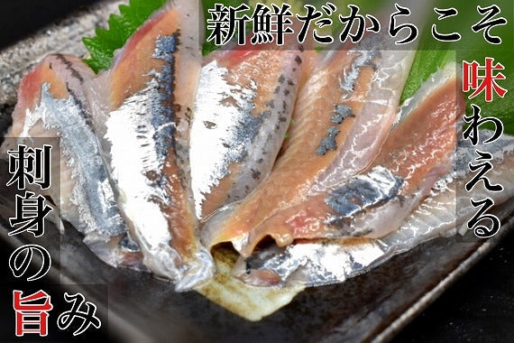 【旬 鮮度抜群】北海道産 お刺身生サンマ 10尾・20尾　送料無料※沖縄は別途1800円（入荷次第発送） 秋刀魚 さんま トロ秋刀魚