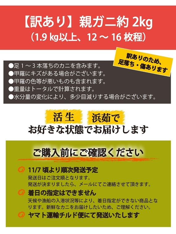 【11/6カニ漁解禁】訳あり・親ガニ（セコガニ）2kg詰合せ【生／茹で】