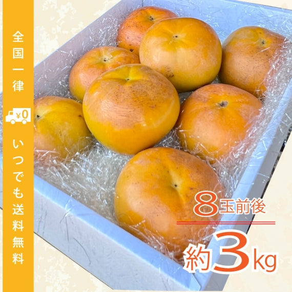 熊本自慢の逸品！秋の味覚『太秋柿』3kg