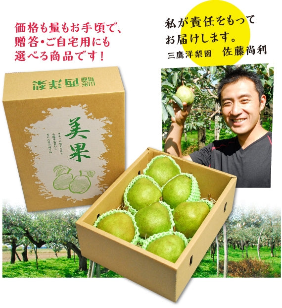 有袋栽培 完熟ラ・フランス　2kg（7~8玉）化粧箱詰め★発送は11月上旬から★