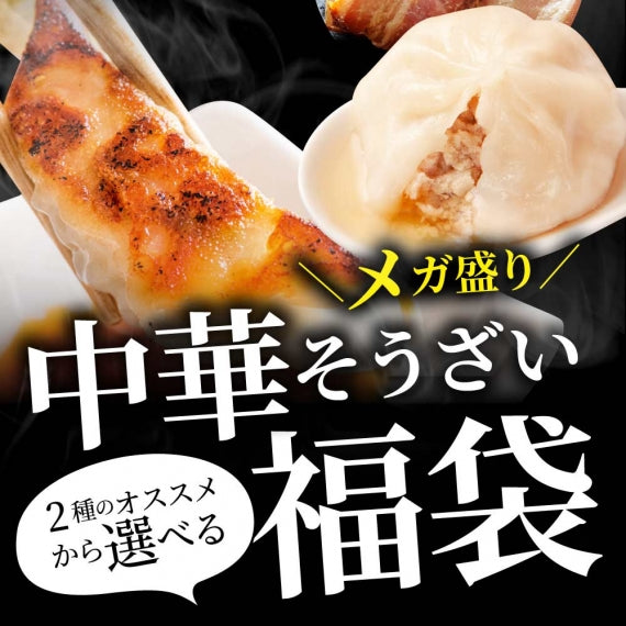 中華 点心 惣菜 クリスマス 《総重量最大4.5kg》 福袋 2種から選べるAセット 餃子 焼売 小籠包 唐揚げ チャーハン 焼飯 肉団子 焼豚 肉 お歳暮 ギフト 2022