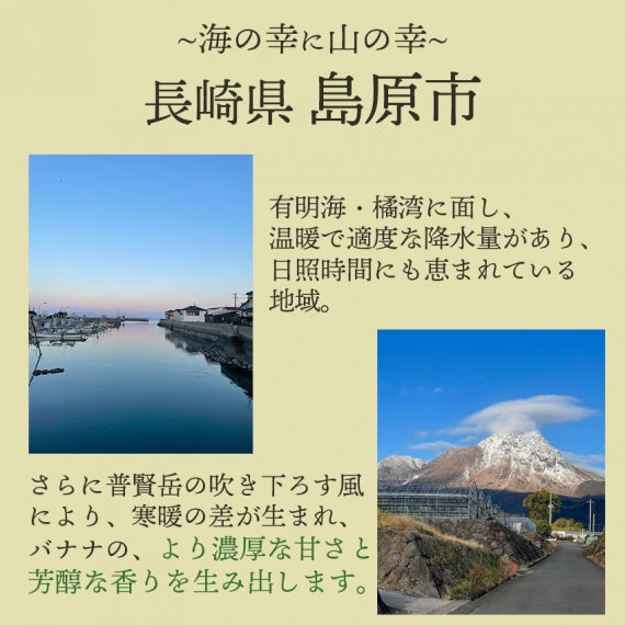［産地直送］長崎県島原産　なかなかバナナ1kg（冷凍・段ボール入)