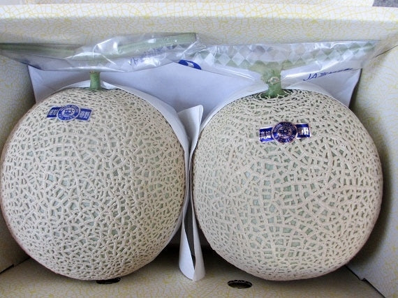 【送料込み】高知市春野町　北村さんのマスクメロンＡ品　大玉２玉入り