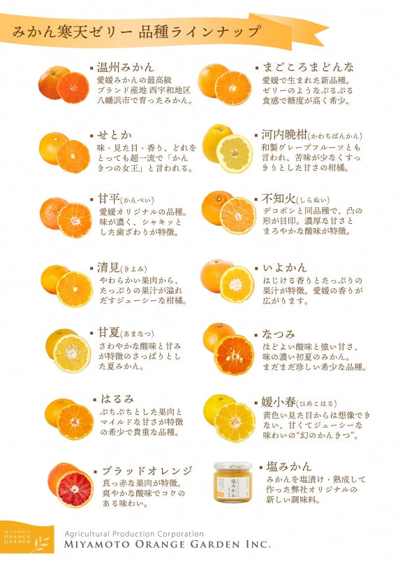 みかん寒天ゼリーセット 150g