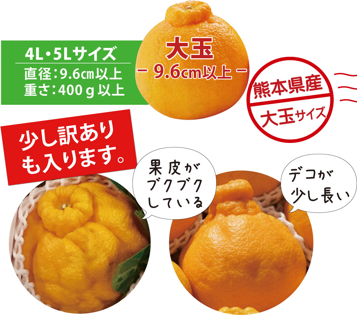 【少し訳あり】★本加温★完熟！ハウスデコ～しらぬい～