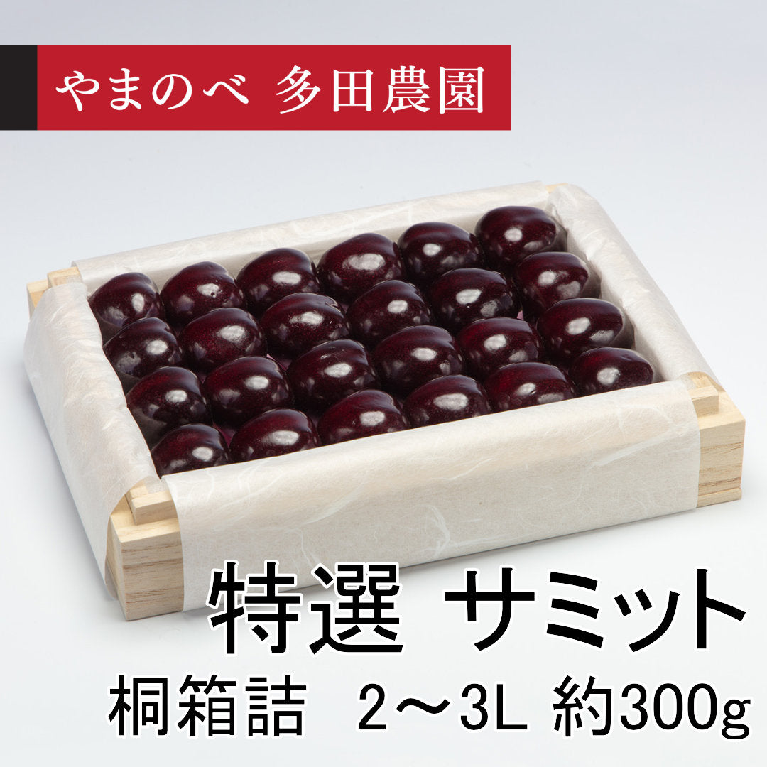 黒いさくらんぼ　特選　サミット（2Lサイズ以上 桐箱詰）約300g　先行予約受付中