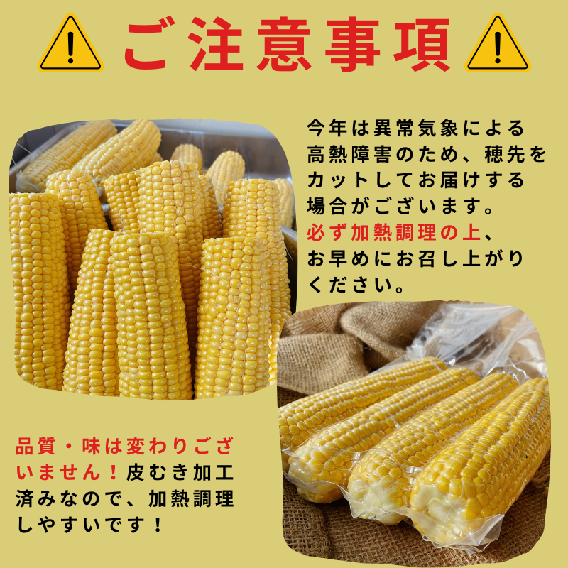 【新発売】北海道産冷凍とうもろこし