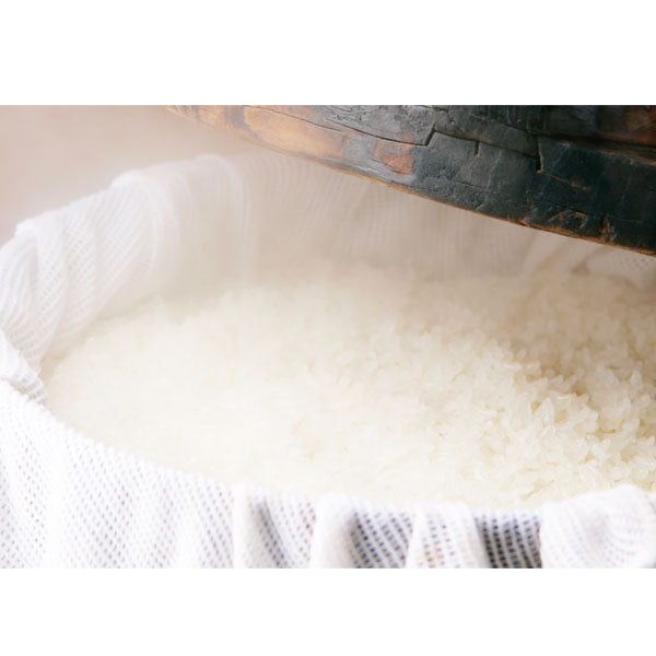 もち米 新潟産 こがねもち5kg(1kg×5袋) 令和6年産 送料無料 もち米 抜群の粘り、コシ、風味があります