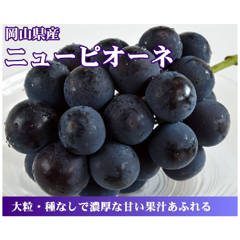 「晴れの国おかやまの隠れた逸品」岡山特産　黄金桃(3個～4個)とニューピオーネ（1房）詰合せ【発送は8月下旬から】　