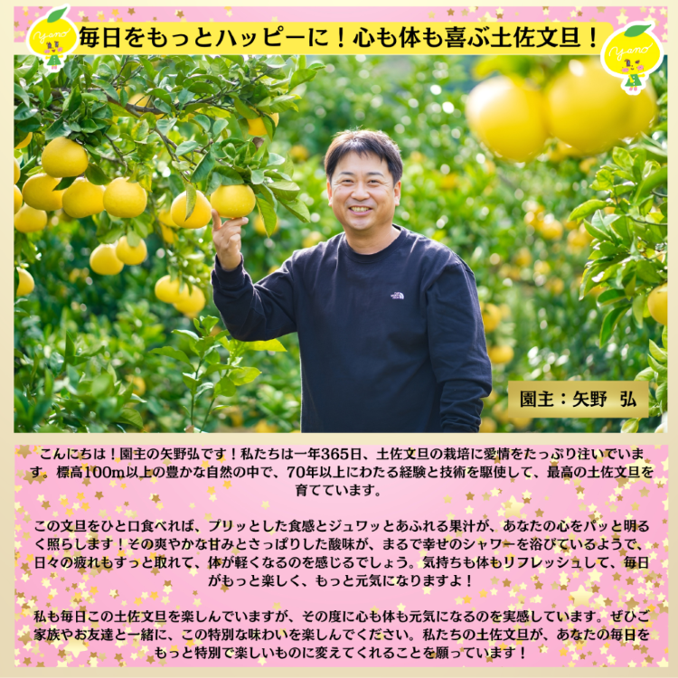 【日本ギフト大賞受賞】園主こだわり土佐文旦 家庭用 3kg（5～7玉）文旦 ぶんたん ブンタン 高知 みかん 国産みかん 果物 柑橘 フルーツ 訳あり 旬  冬 春  美味しい 甘い お取り寄 人気【新聞企画おすすめの逸品定期便】