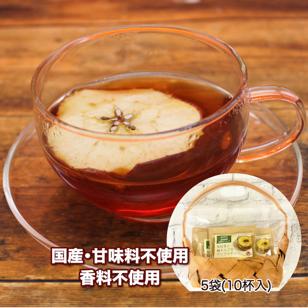 アップルティー 紅茶 ティーバッグ りんご 5袋 ギフト 食べれるフルーツティー ドライフルーツ 和紅茶 国産 甘味料不使用 香料不使用
