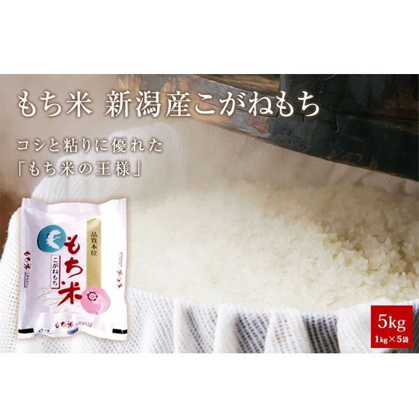 もち米 新潟産 こがねもち5kg(1kg×5袋) 令和6年産 送料無料 もち米 抜群の粘り、コシ、風味があります
