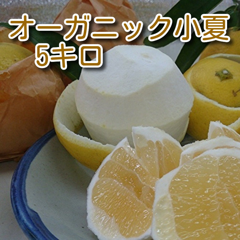 【有機農産物】～オーガニック小夏（たっぷり５キロ：25～44個入り）【送料無料一部地域を除く】
