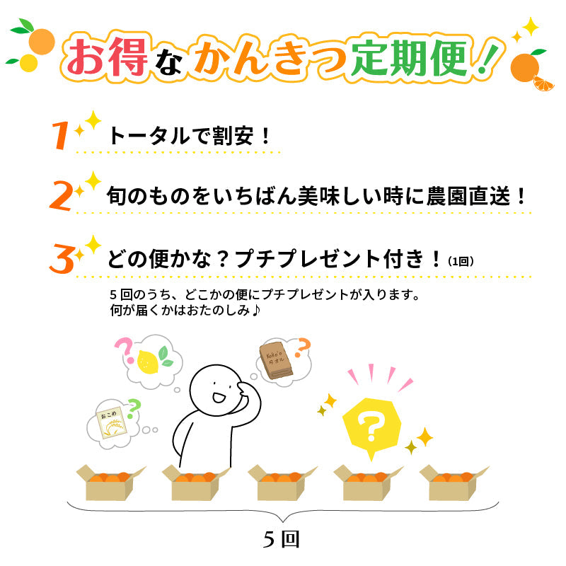 【送料無料】お得！旬の柑橘オールスター定期便【選べる秀品・訳あり（全５回）】※お楽しみプチプレゼント付き