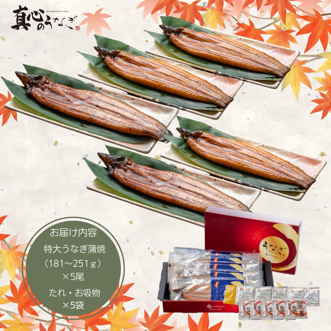 【大容量!!】【宮崎県産】特大うなぎ蒲焼5尾セット　お歳暮　国産鰻　送料無料【鮮魚・魚介類】