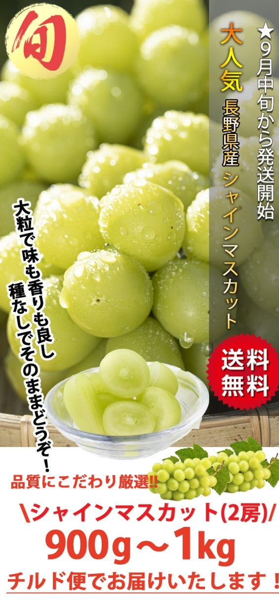 【売り切れ】【送料無料】【長野県産シャインマスカット★900g～１㎏(2房)】大粒で味も香りもよし！種なしで皮ごと食べることができます。※9月中旬から順次発送