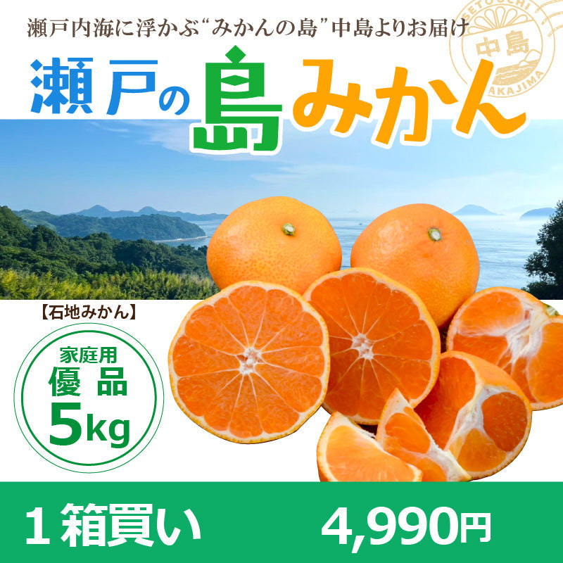 ※予約受付中※【送料無料】木成り完熟　島みかん(石地)約５kg〈家庭用・優品〉　※2026年1月頃発送予定