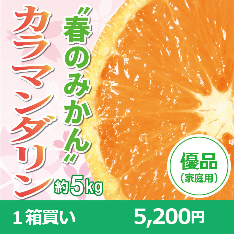 ※今季販売終了※【送料無料】春のみかん「カラマンダリン」〈優品・家庭用〉約5kg