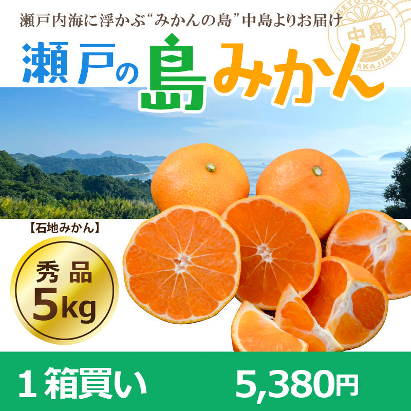 ※予約受付中※【送料無料】木成り完熟　島みかん(石地)約５kg〈秀品〉　※2026年1月頃発送予定