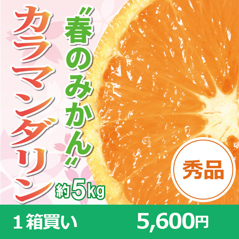 ※今季販売終了※【送料無料】春のみかん「カラマンダリン」〈秀品〉約5kg