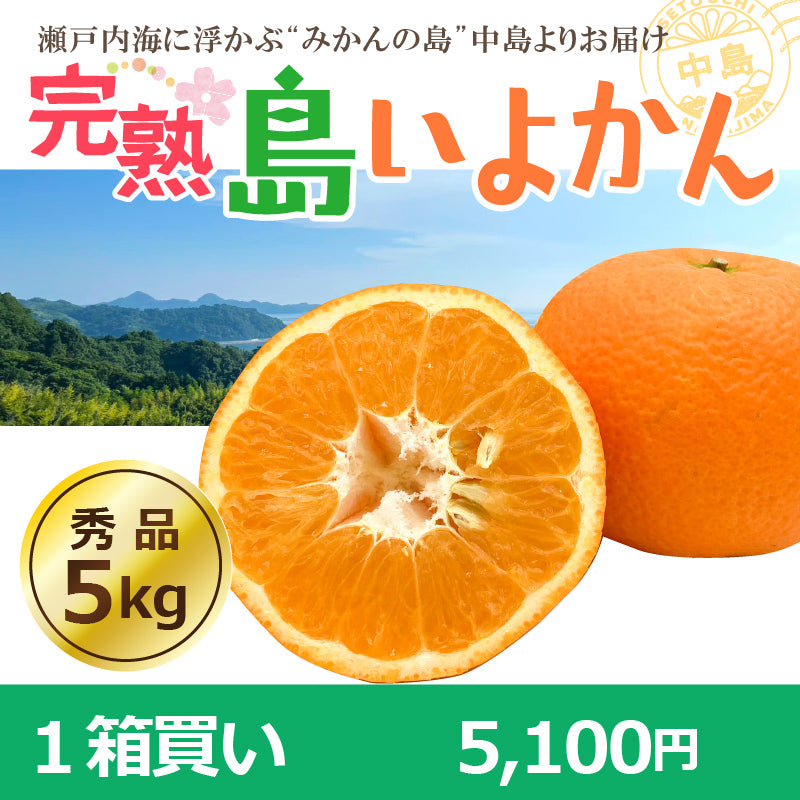 【送料無料】完熟島いよかん約５kg〈秀品〉※2026年2下旬～3月頃発送予定