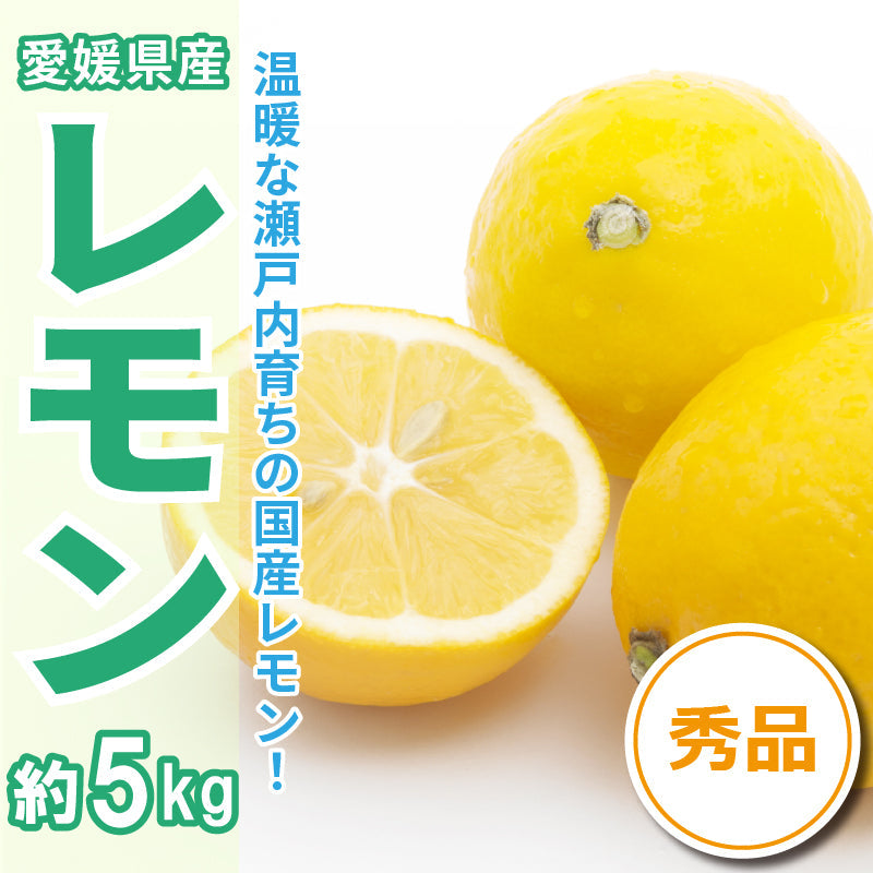 ※今季販売終了※【送料無料】愛媛県産「レモン」〈秀品〉約5㎏