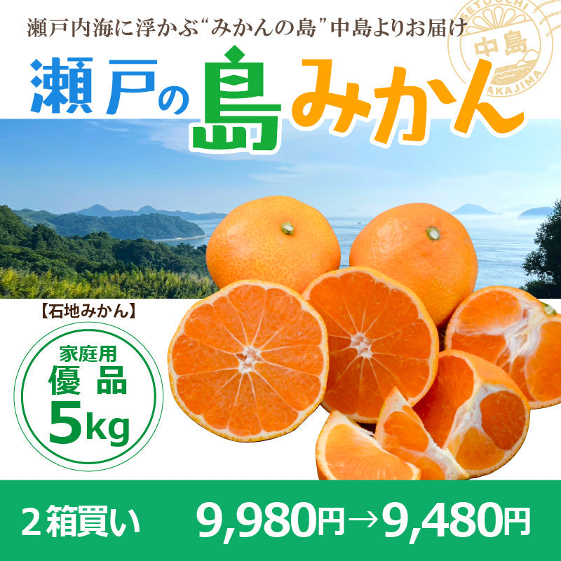 ※予約受付中※【送料無料】木成り完熟　島みかん(石地)約５kg〈家庭用・優品〉　※2026年1月頃発送予定