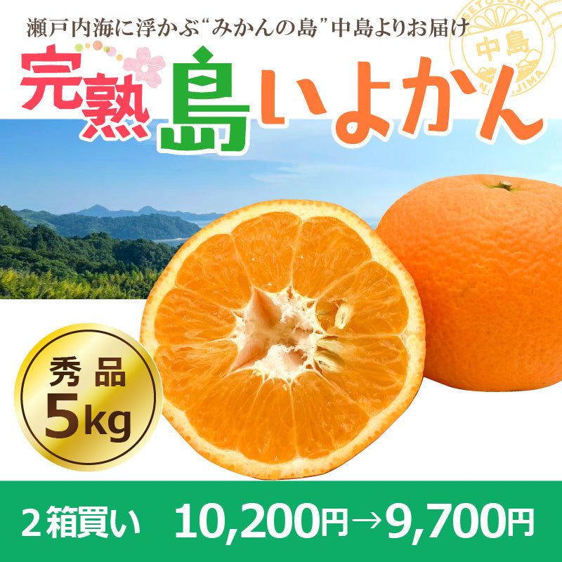 【送料無料】完熟島いよかん約５kg〈秀品〉※2026年2下旬～3月頃発送予定
