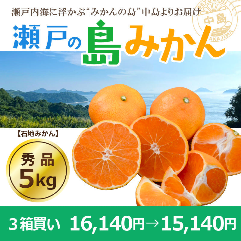 ※予約受付中※【送料無料】木成り完熟　島みかん(石地)約５kg〈秀品〉　※2026年1月頃発送予定