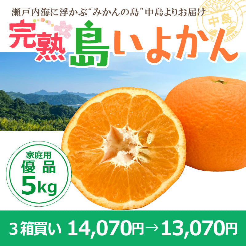 【送料無料】完熟島いよかん約５kg〈家庭用・優品〉※2026年2下旬～3月頃発送予定