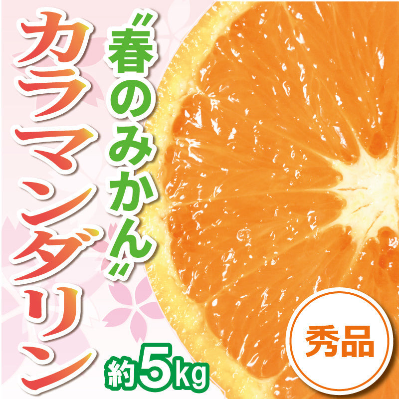 ※今季販売終了※【送料無料】春のみかん「カラマンダリン」〈秀品〉約5kg