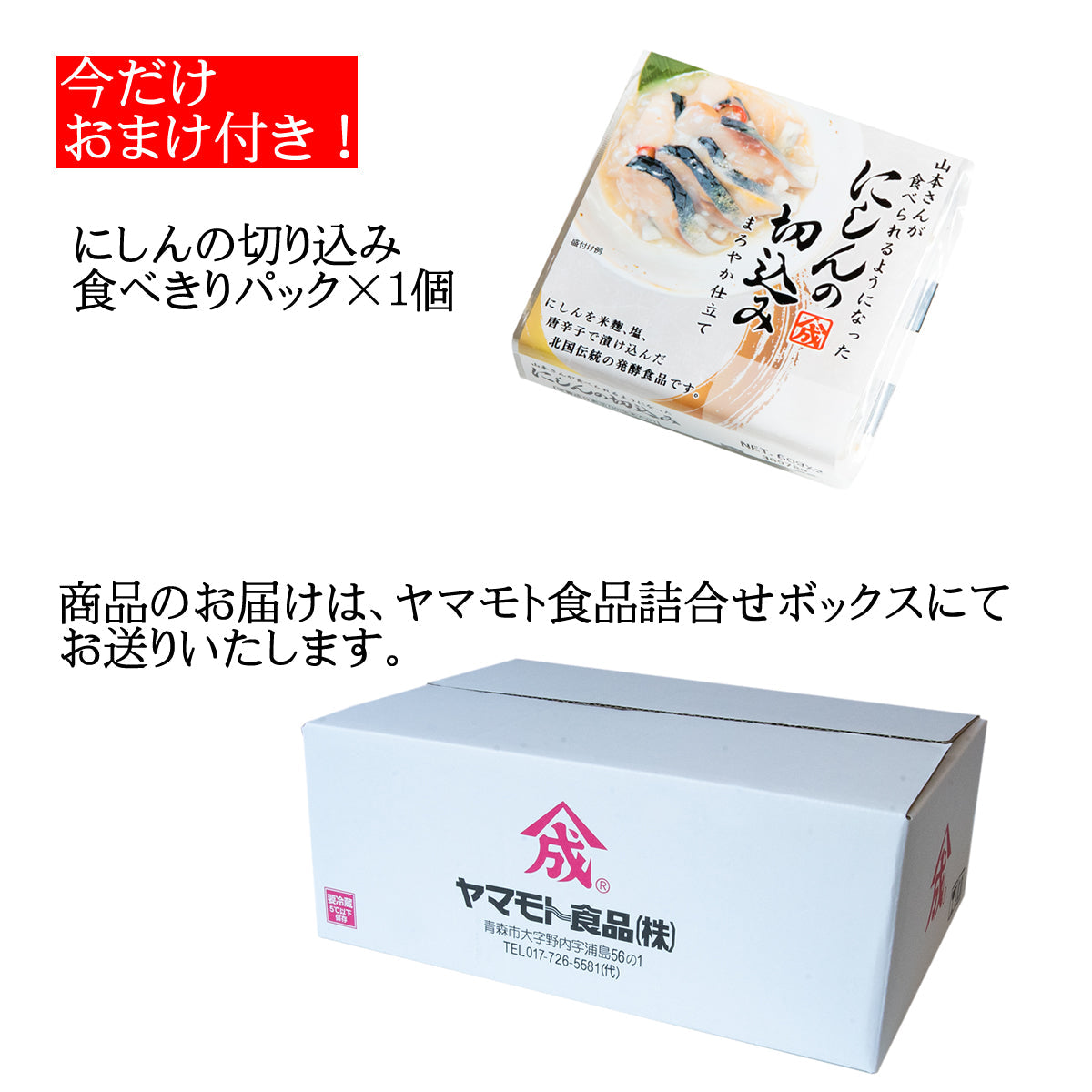 味よし5兄弟セット　【送料無料】