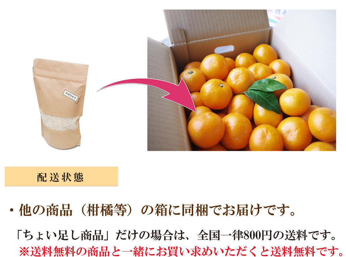 【ちょい足し！送料無料！！】令和7年産 新米（さがびより／ひのひかり）2合 約300ｇ★佐賀県白石産