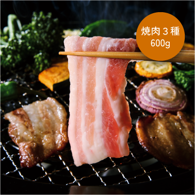 信州十四豚 焼肉食べくらべ３種セット＜600g＞