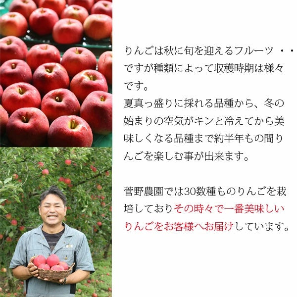 岩手県 江刺産りんご 菅野農園 旬のりんごBOX(MIX)3kg【常温・送料込