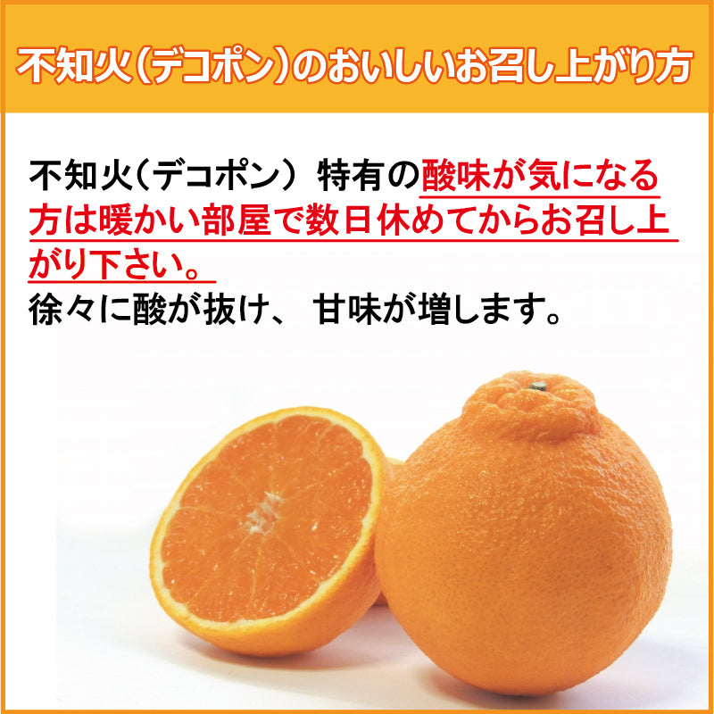 ※今季販売終了※【送料無料】愛媛県産「不知火(しらぬい)」‐媛太陽デコ-〈秀品・ギフトBOX〉約2.5kg　※発送は２月中旬～３月上旬予定