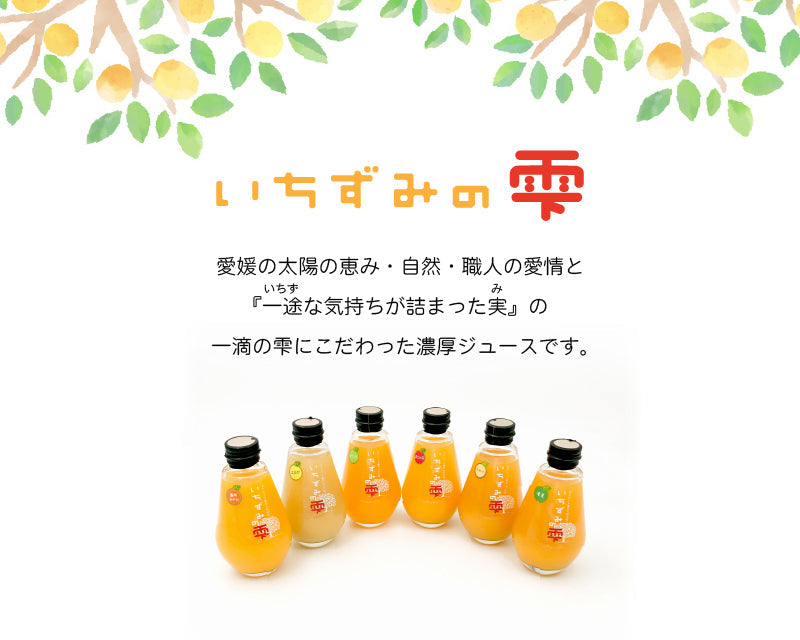 【送料無料】＊新発売＊いちずみの雫＆ジュレセット（ジュース4本・ジュレ4個）