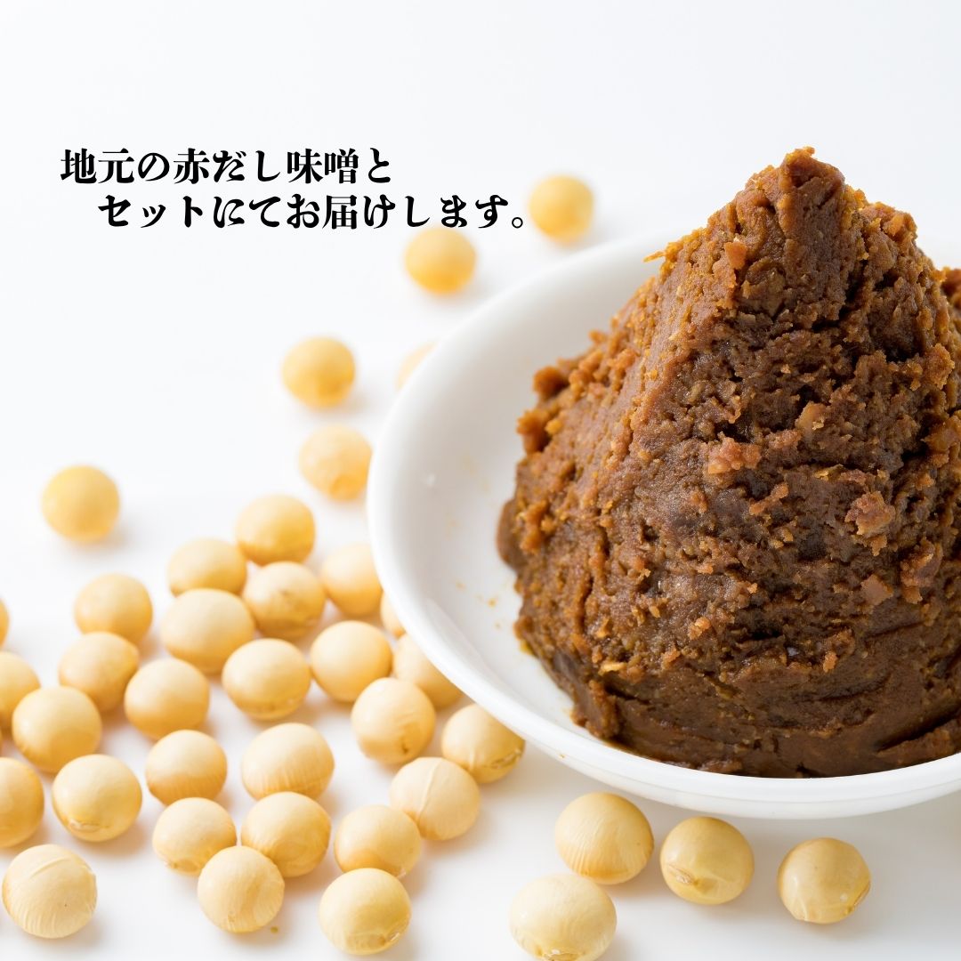 伝承桑名河口しじみ赤だし味噌汁