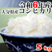 【令和6年産】 大分県産こしひかり　　5kg